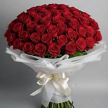 Букет 101 Красная роза Блэк Мэджик в Большеречье