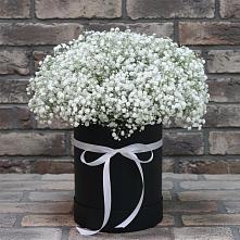 Цветочная композиция из Гипсофила в шляпной коробке #REPLACE_PRED# Большеречье