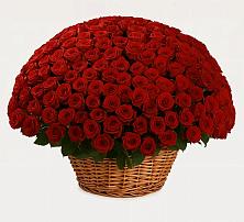 Премиум букет из: Розы #REPLACE_PRED# Большеречье