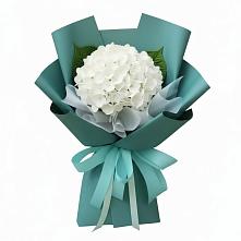 Букет цветов из:  Гортензия #REPLACE_PRED# Большеречье